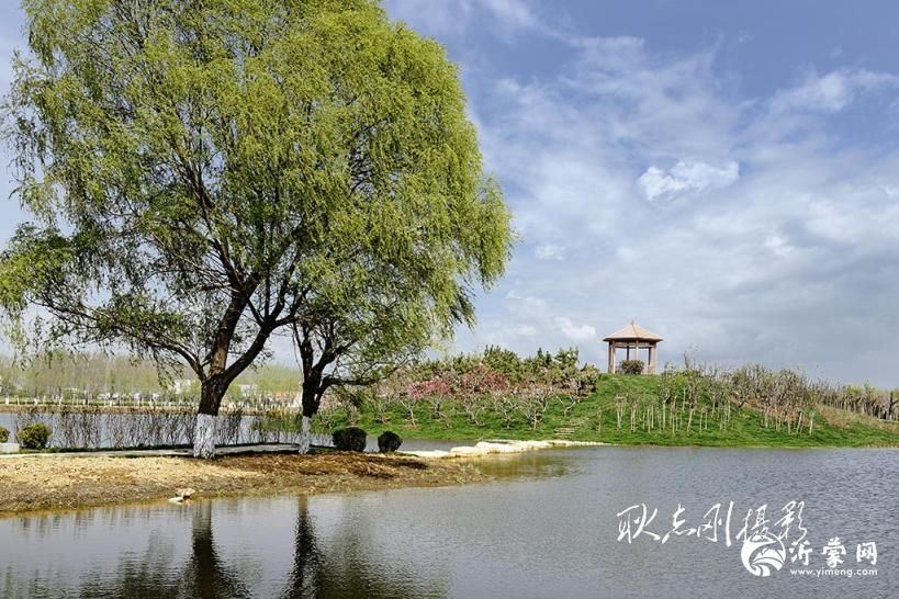 文化 非遗