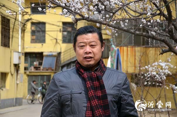 书画家冯波艺术简历