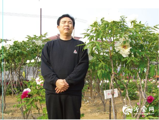 书画家胡宗礼艺术简历