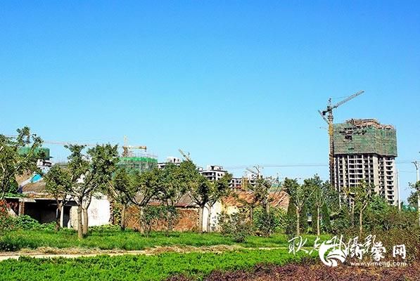 李群与临沂北城新区:城市崛起的“造梦者”-7p.jpg