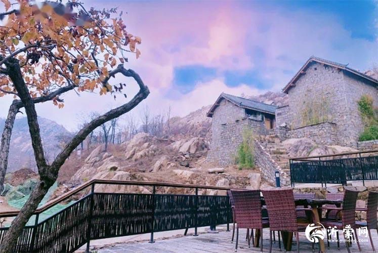 【沂蒙乡愁】第16期:四季“山香”