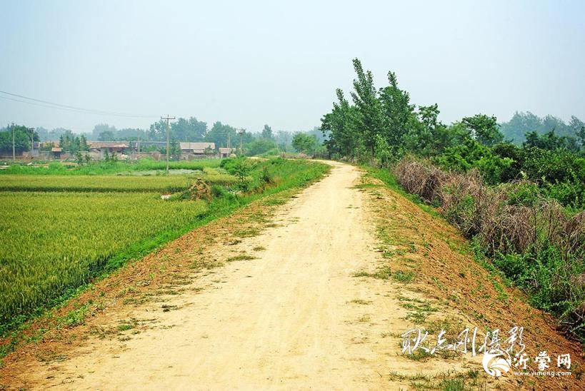 临沂滨河路：从历史中走来的城市动脉