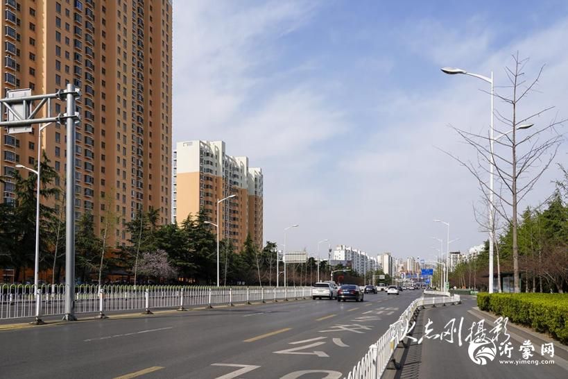 探秘临沂广州路：春日里的一条樱花大道