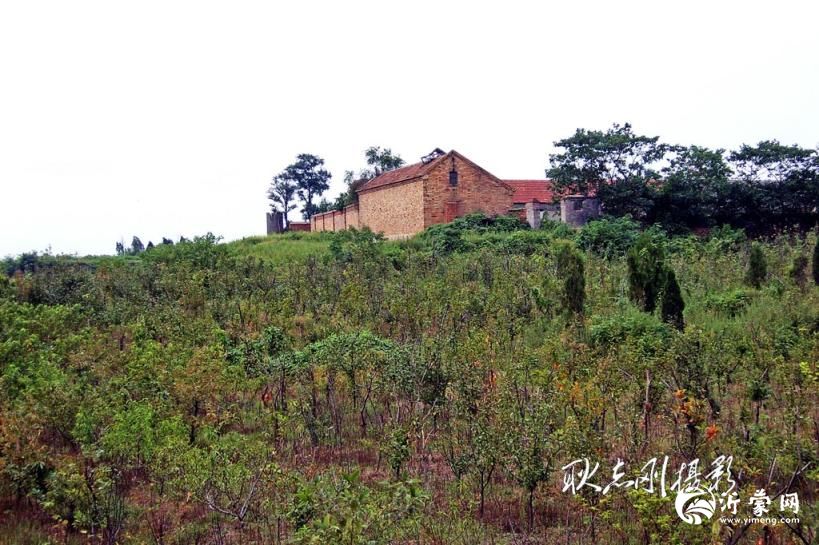 探秘临沂东夷文化公园：穿越千年，邂逅远古文明