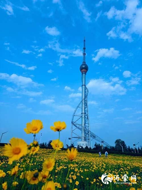微信图片_20250508140004p.jpg