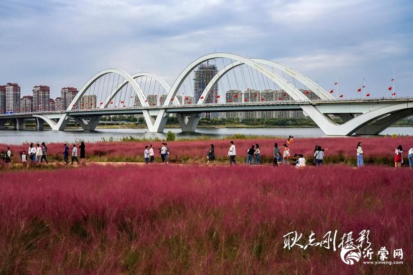 临沂河湾公园：城市中的梦幻绿洲