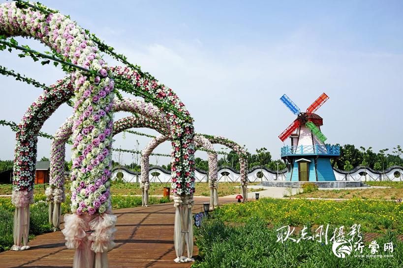 临沂有个“桃花源”立晨农庄,藏着你向往的田园生活