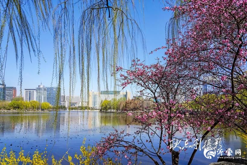 探秘临沂五洲湖:从沼泽坑塘到城市明珠的蜕变