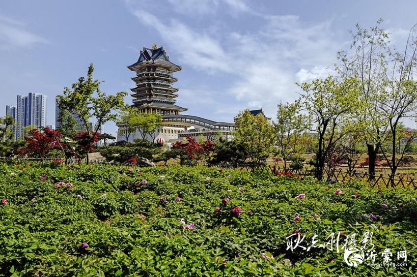 探秘临沂园博园:解锁山东城市微缩景观