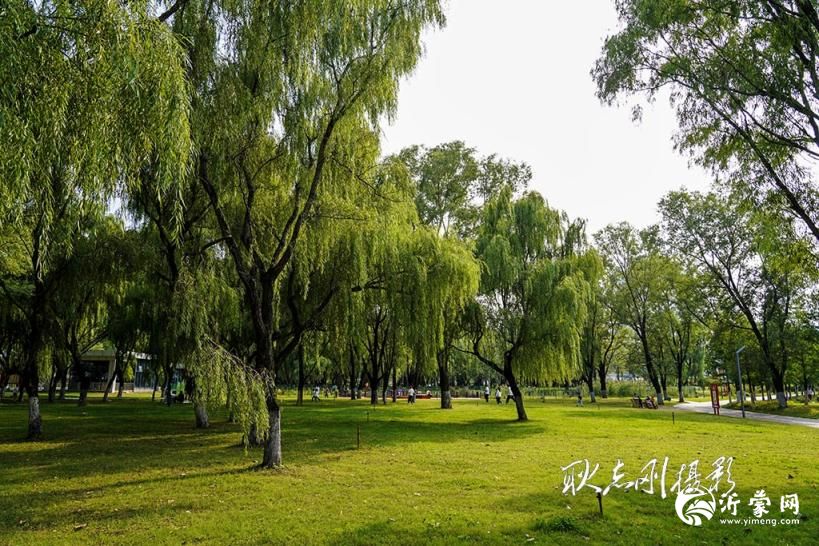 探秘罗庄区护台公园:从历史传说到现代蜕变