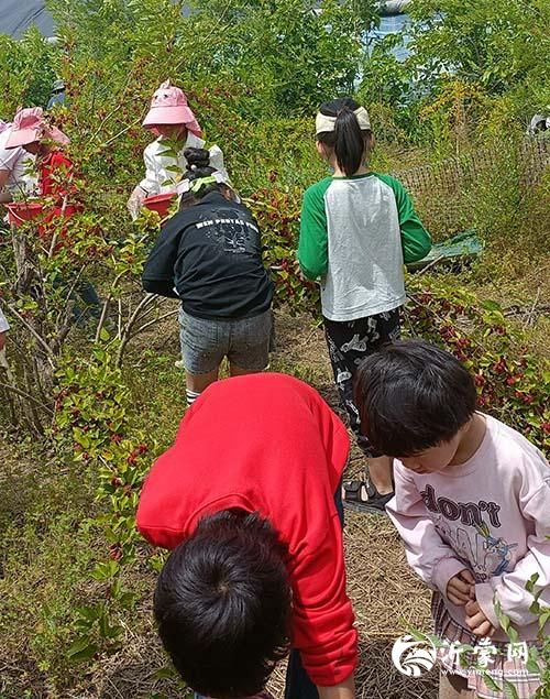 微信图片_20250525181000p.jpg
