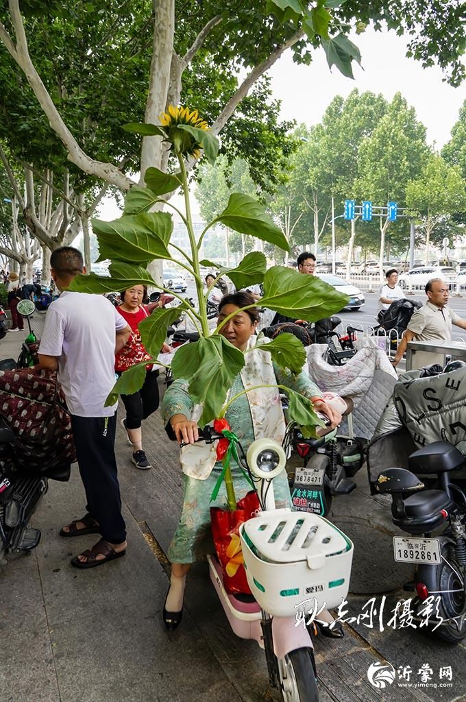 考场外的诗行