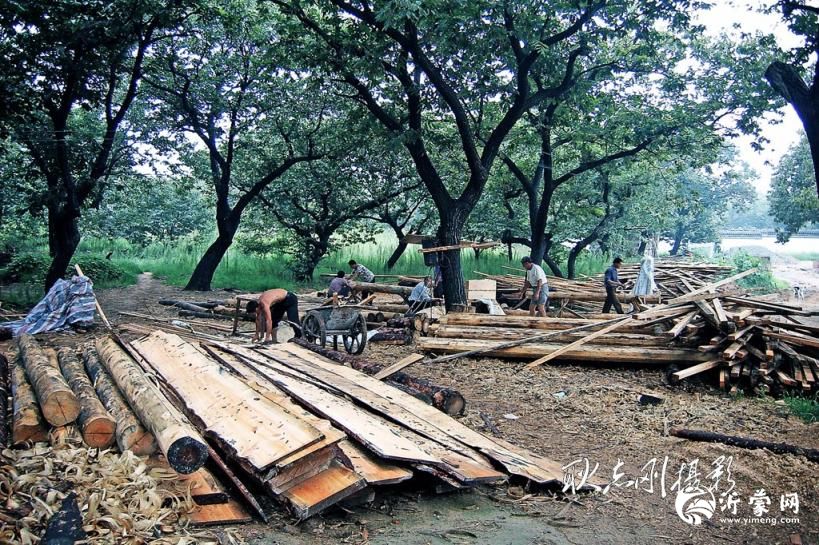 临沂国际影视城:沂蒙大地的光影传奇