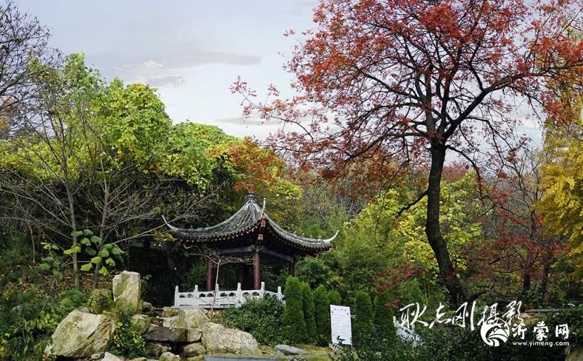 探秘临沭冠山:鲁南的人间仙境与文化宝库