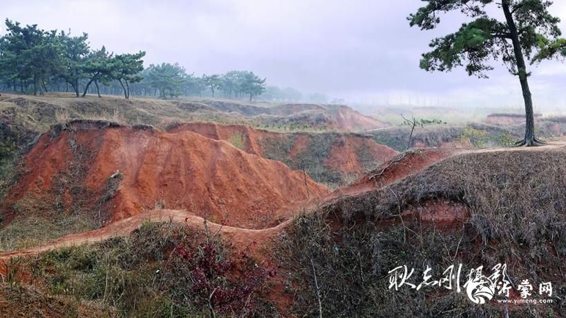 探秘郯城麦坡地震遗址:穿越亿年的大地伤痕