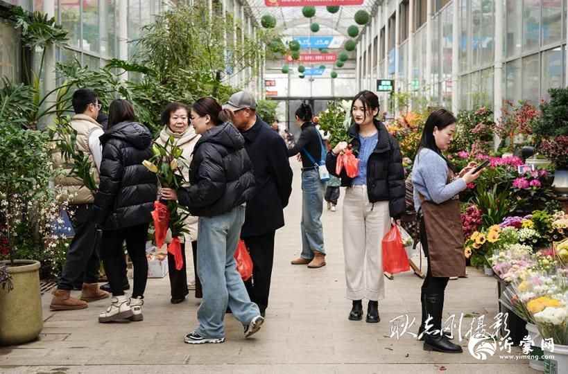 从鲁南花卉市场到临沂花木博览城：一场繁花之变