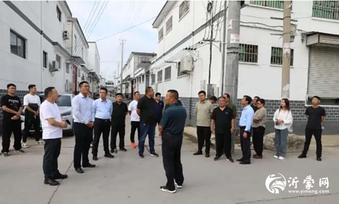 兰山区义堂镇召开飞线整治现场推进会