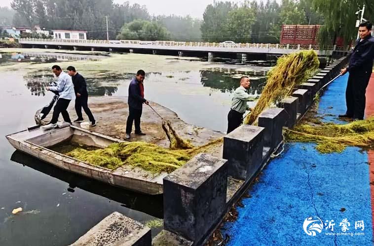 临沂高新区罗西街道涧头村：全域整治焕新颜 全民共治绘幸福