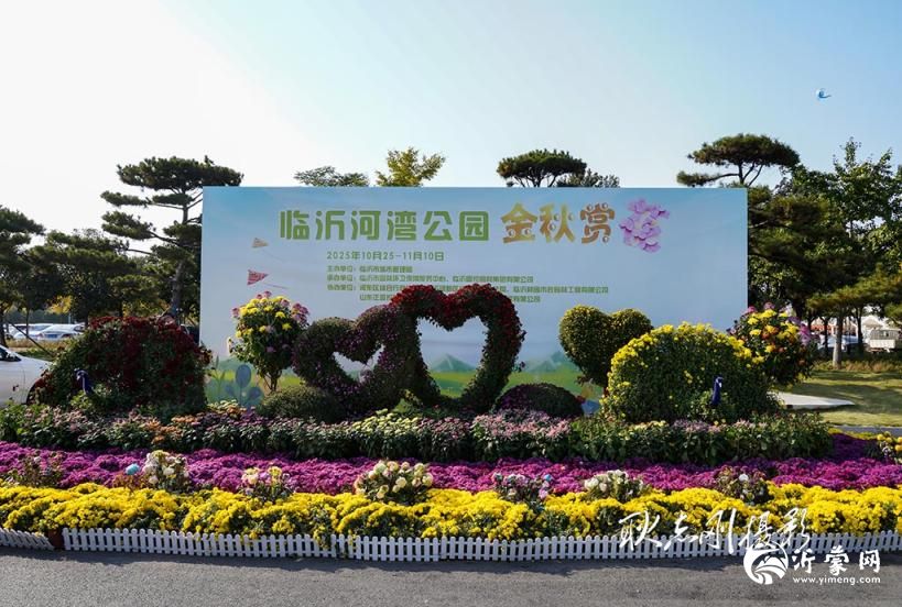 临沂河湾公园金秋菊花展随拍（花境篇）