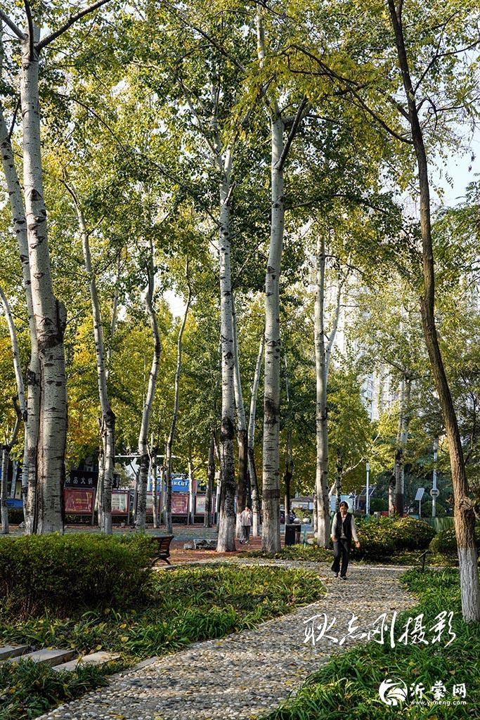 林荫广场随拍