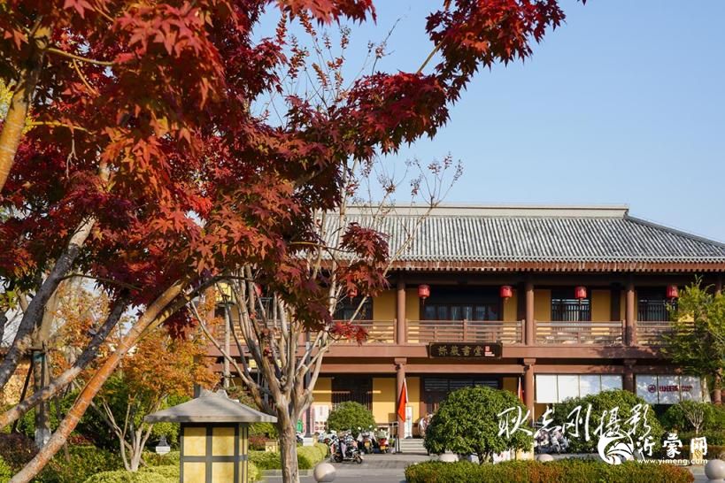 秋末冬初的临沂兵学公园