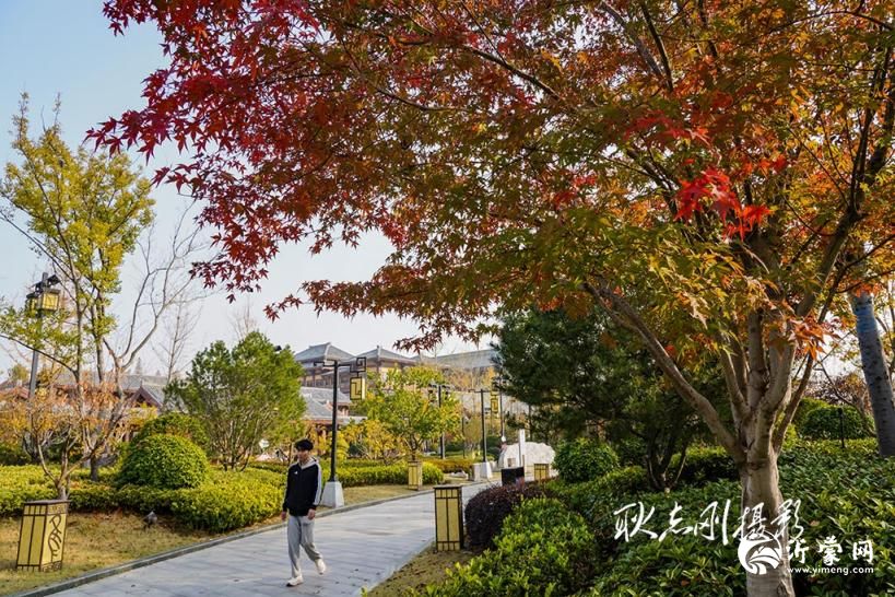 兵学公园随拍