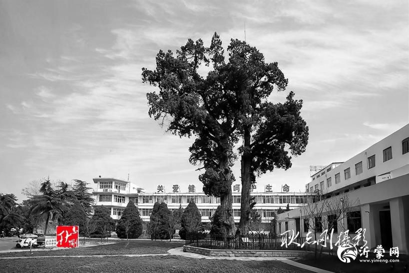 从沂蒙医院、骨科医院到十二中育新校区：从健康守护站到育才基地