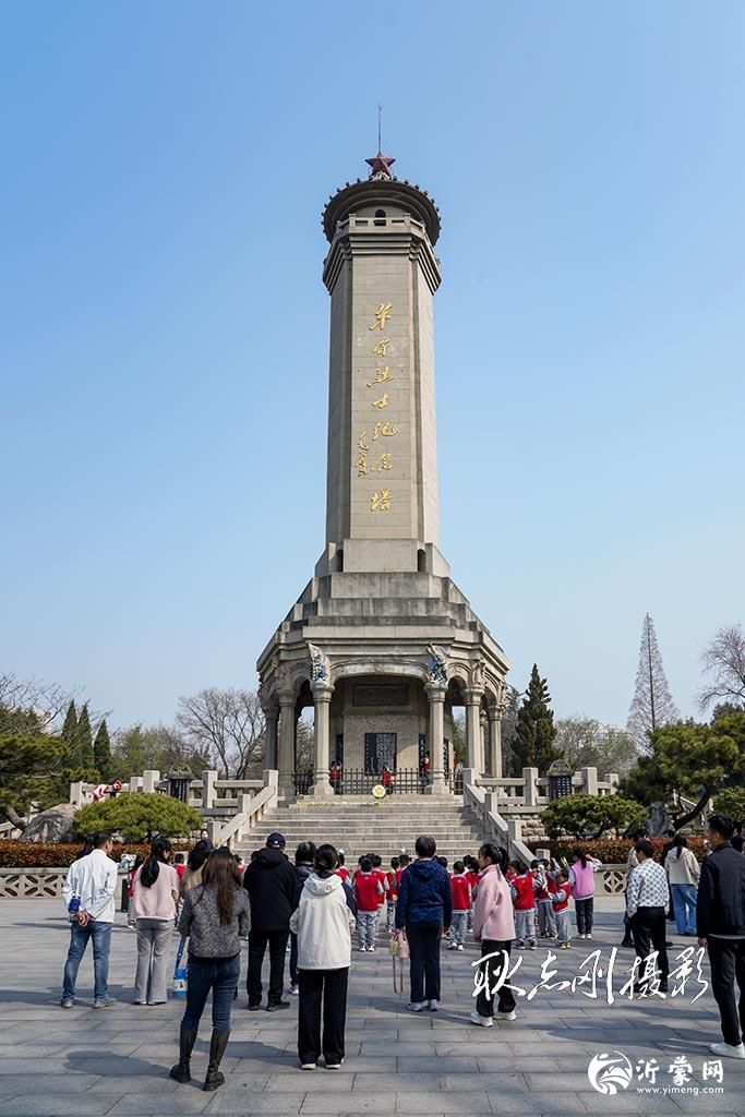 清明，松柏间的青春追思