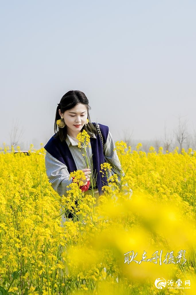 油菜花田的林过儿