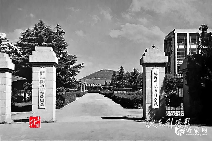 忆师专岁月，念青葱芳华
