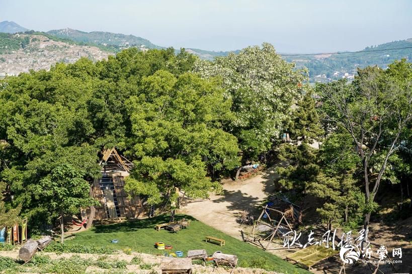 游蒙阴松山孔雀花园