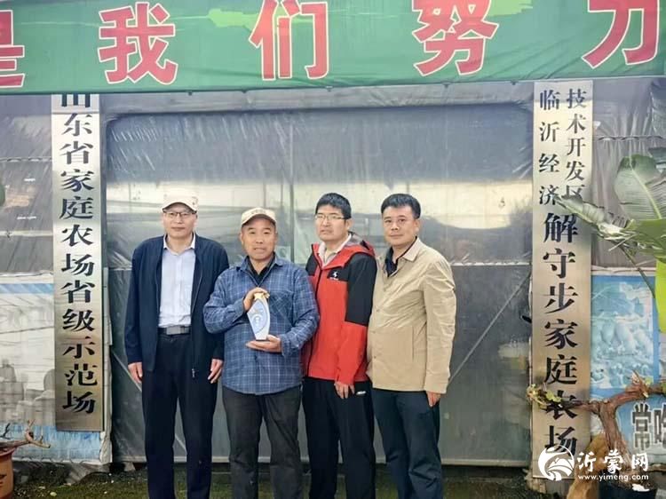 临沂沂河新区作家走进梅家埠甜瓜基地采风