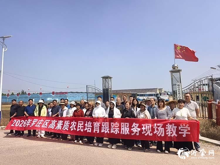 图片12p.jpg